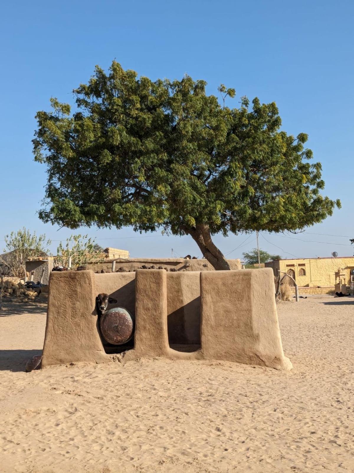 Hostel Marigold Home Stay جيلسامر المظهر الخارجي الصورة